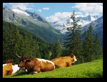 Drumul 108 - Lienz - Innsbruck -28-06-2011 - Bogdan Balaban